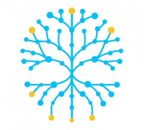 IAS Outstanding Junior Fellows