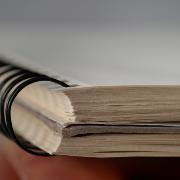 IAS Distinguished Scholars Printed Report